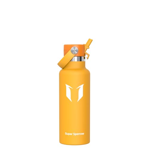 Super Sparrow Gourde Isotherme 500ml - Bouteille Isotherme avec Paille