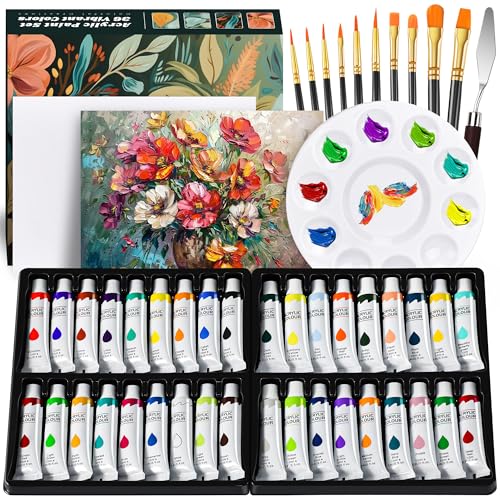 DazSpirit Kit de Peinture Acrylique 36 Couleurs - Ensemble Artistique