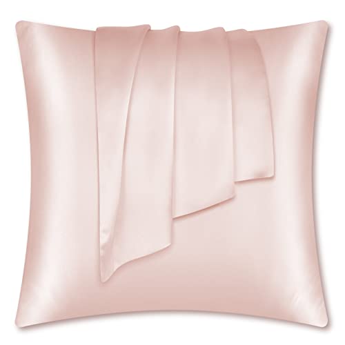 LULUSILK Taie d'oreiller en Soie 100% Naturelle - Soin de