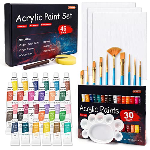 Shuttle Art 46PCS Kit Peinture Acrylique, 30 Couleurs de Peinture